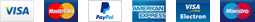 Visa, Mastercard, PayPal, American Express, Visa Electron et Maestro